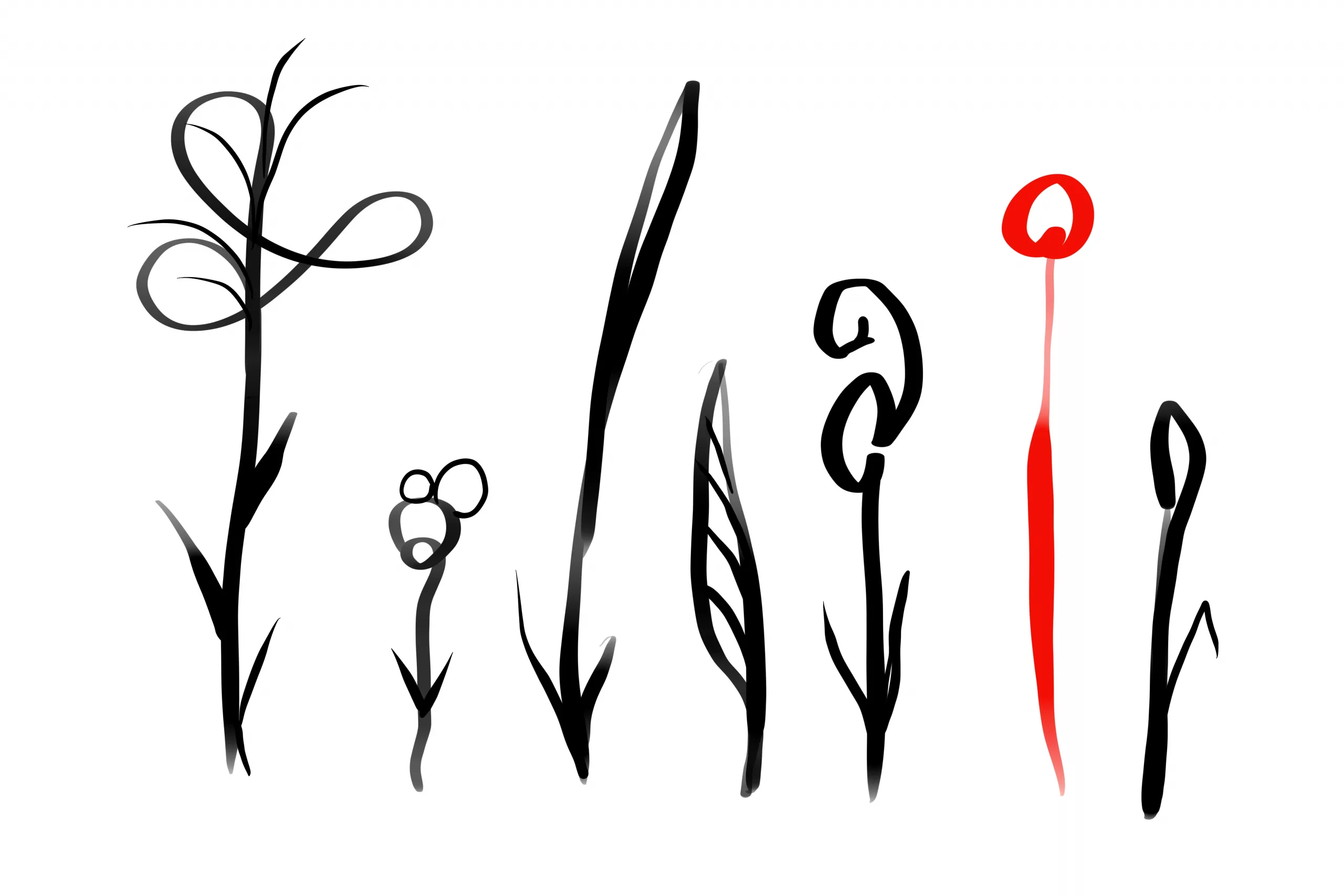 Grenzlinien: Digital gezeichnete Grafik, 7 stilisierte Pflanzen nebeneinander, sechs schwarz, die vorletzte rot.
